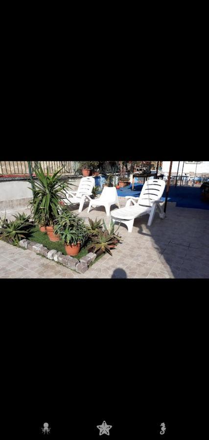 Vacanze Da Angela - Orto Botanico Napoli Eksteriør billede