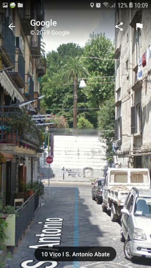 Vacanze Da Angela - Orto Botanico Napoli Eksteriør billede